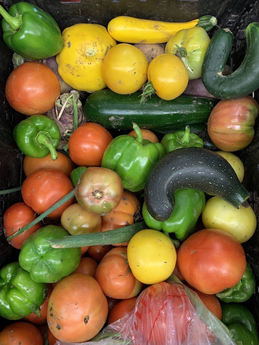 Fresh vegetables in a produce box.